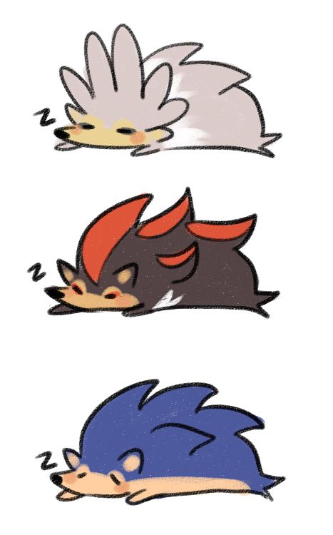 Shadow The Hedgehog Fanart Cute, Sonic Shadow, Dik Dik, Sonic Fanart, Image Spiderman, Sonic Heroes, Silver The Hedgehog, Sonic Funny, Sonic Fan Characters