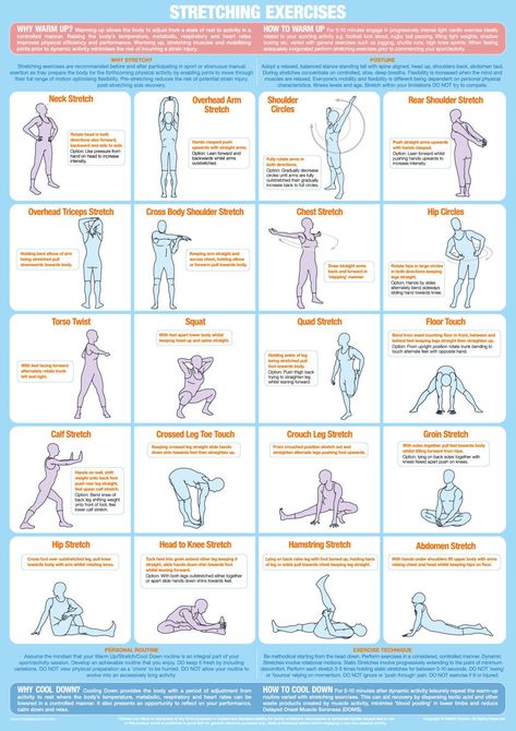 Stretching Exercise Poster, Warm up Cool Down Chart - Etsy Dynamic Stretching Exercises, Cool Down Stretches, Warm Up Stretches, Knee Pain Exercises, Walking Plan, Dynamic Stretching, Stretches For Flexibility, Weight Training Workouts, Workout Warm Up