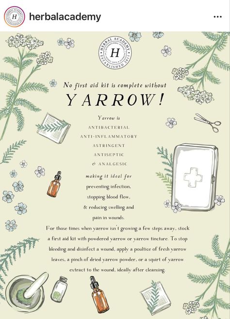 Yarrow Witchcraft Uses, Yarrow Tincture Recipe, Yarrow Flower Meaning, Yarrow Medicinal Uses, Uses For Yarrow, Yarrow Tea Recipe, Yarrow Plant Benefits, Yarrow Tea Benefits, Yarrow Magical Properties