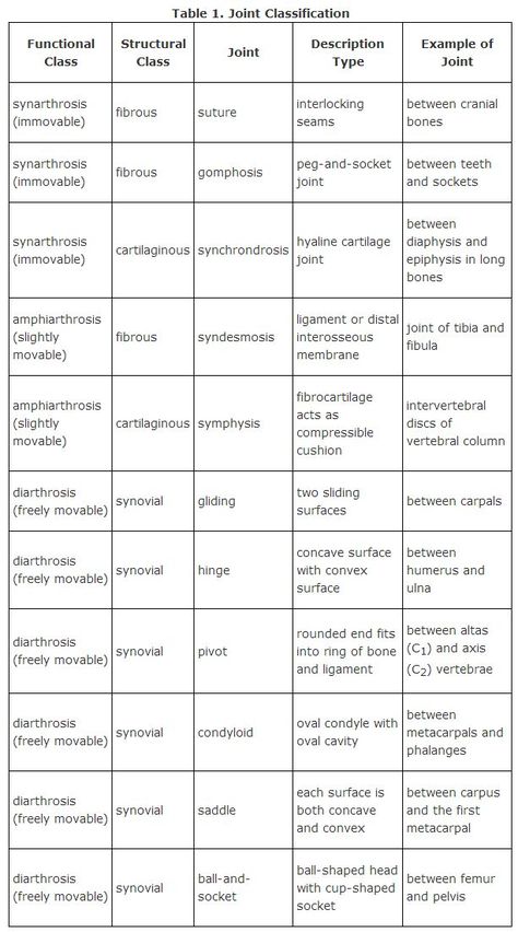 Classifying Joints Classification Of Joints, Anatomy And Physiology Joints, Joints Anatomy, Medical Terminology Study, Radiology Student, Medical Assistant Student, Medicine Notes, Basic Anatomy And Physiology, Medical Student Study