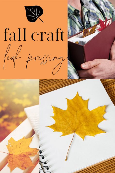 How To Press Leaves Wax Paper, Pressing Leaves, Crafts Fall, Change Of Seasons, Playing Outside, Pressed Leaves, Fall Crafts For Kids, Homeschool Activities, Fall Activities