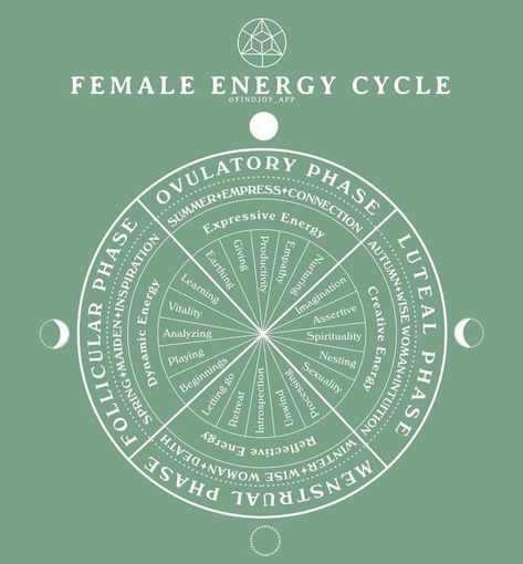 Womb Healing, Female Energy, Menstrual Health, Feminine Health, Soul Healing, Moon Cycles, Healing Modalities, Hormone Health, Spiritual Wellness