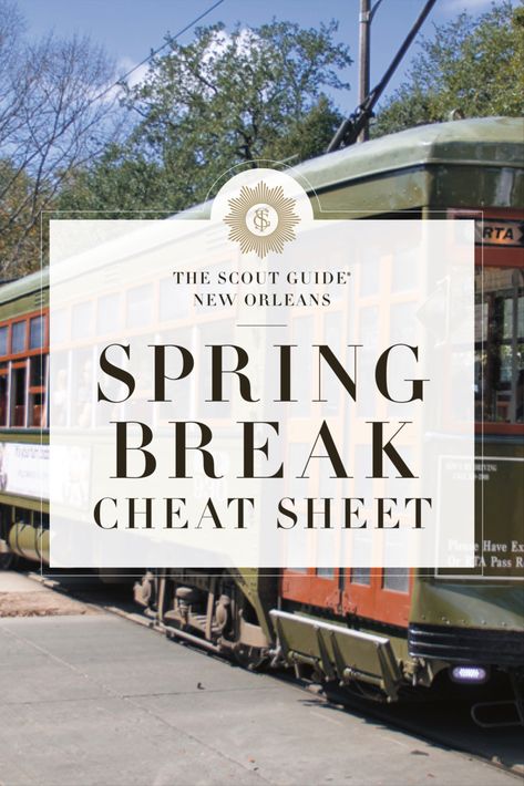 Cheat Sheet: A Spring Break Travel Guide for New Orleans, Louisiana New Orleans Spring Break, Rites Of Spring, Spring Break Destinations, Scout Guide, The Big Easy, The Scout, Big Easy, New Orleans Louisiana, Dream Board