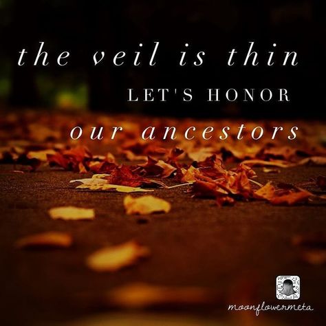 11 Likes, 2 Comments - Spiritual Development (@blessedvybes) on Instagram: “🍁Wednesday Wisdom: Honoring our Ancestors, those known and unknown.  Those souls who have…” The Veil Is Thinning Samhain, Samhain Quotes Ancestors, Ancestral Veneration, The Veil Is Thinning, Veil Is Thinning, Indigenous Pride, Blessed Samhain, Goddess Quotes, Samhain Halloween