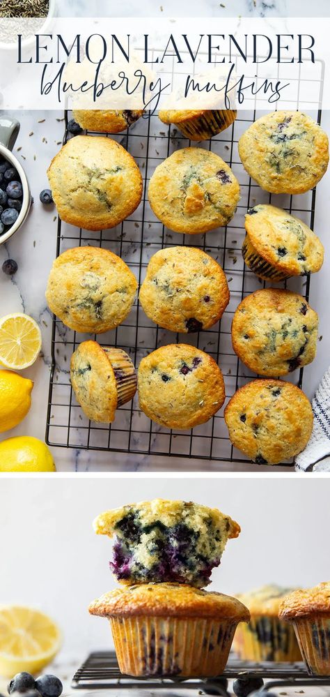 Fresh lemon and fragrant lavender are the dream team in these soft lavender blueberry muffins! Blueberry Lavender Muffins, Blueberry Lavender Recipes, Lavender Muffins, Healthy 2024, Lavender Dessert, 2024 Health, Heart Baking, Sourdough Muffins, Lavender Recipes