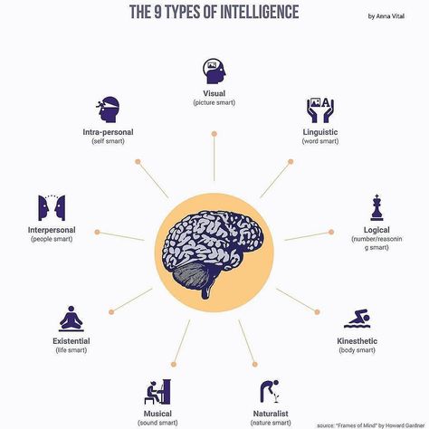 from @annavitals - The 9 types of intelligence according to the theory of multiple intelligences #regrann What Is Intelligence, Multiple Intelligence, Types Of Intelligence, Social Intelligence, Multiple Intelligences, Short Clip, How To Create Infographics, Make An Infographic, Information Graphics