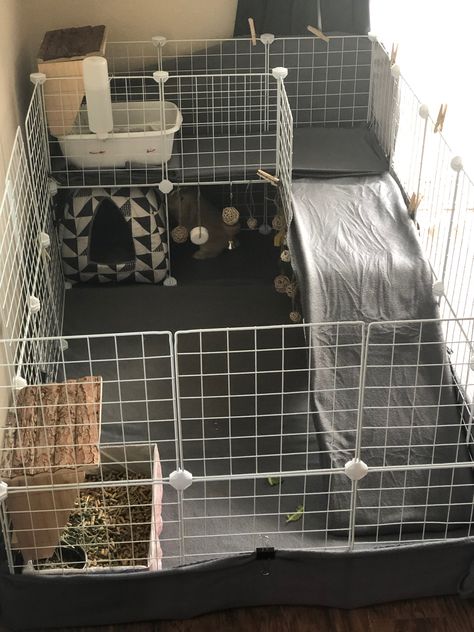 Small Rabbit Cage Ideas, Bunny Playpen Ideas, Rabbits Cage Ideas, Animal Cage Ideas, Cute Bunny Cage Ideas Indoor, Pet Cage Ideas, Bunny Cage Diy, Bunny House Indoor Diy, Rabbit Habitat Indoor