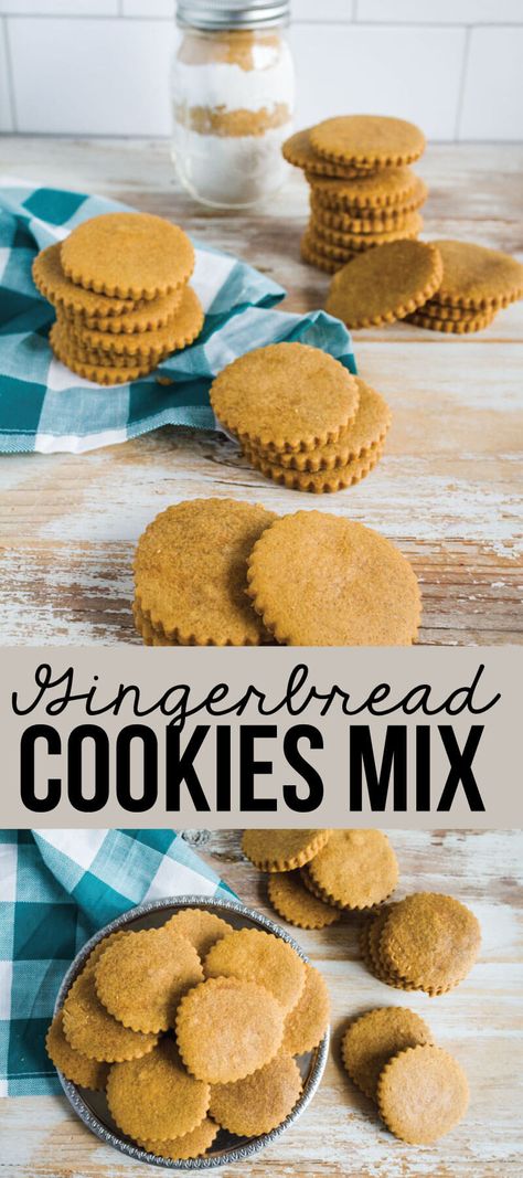 Make Gingerbread Cookies Mix to give to family and friends for the holidays! via www.thirtyhandmadedays.com Make Gingerbread Cookies, Gingerbread Cookie Mix, Diy Easy Recipes, Cookies Ideas, Cookies Christmas, Best Cookie Recipes, Cookie Mix, Yummy Cookies, Christmas Desserts