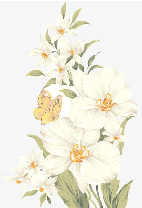 White Flowers Illustration, Flower Background Iphone, Floral Cards Design, Flower Graphic Design, Plant Art Print, Flowers Illustration, Flower Art Drawing, Flowers Png, Illustration Botanique