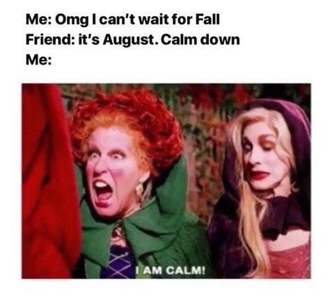 Ready For Fall Humor, Hate Summer, Fall Humor, Fall Memes, Fall Friends, Halloween Memes, Christmas Memes, Laugh A Lot, Halloween Quotes