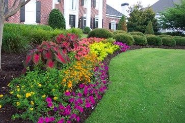 Flower bed in GA Annual Flower Beds Design, Annual Flower Beds, Outdoor Makeover, Backyard Flowers Garden, Flower Bed Designs, Garden Flower Beds, Backyard Flowers, Garden Wallpaper, Flower Garden Design