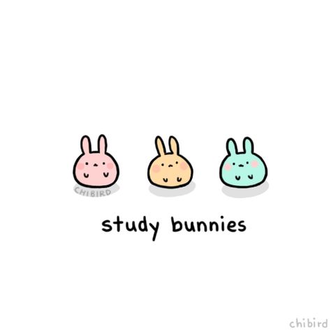 Chibird Motivation Study, You Can Do It Cute, You Can Do It Gif, Motivational Penguin, Penguin Gif, Good Luck Cute, Study Bunny, Motivation Gif, Don't Procrastinate