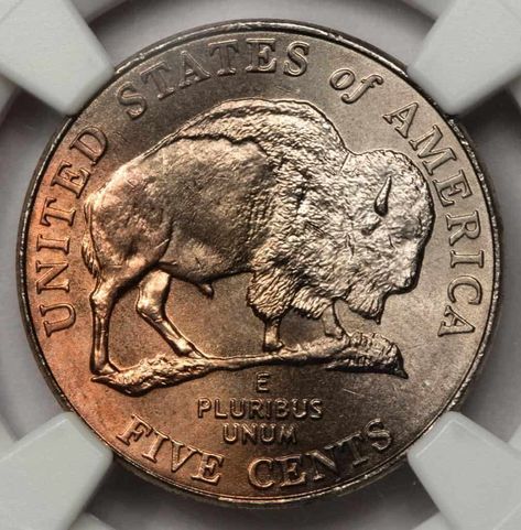 2005 Buffalo Nickel Value: How Much Is It Worth Today? Valuable Wheat Pennies, Wheat Pennies, Old Pennies Worth Money, Old Coins Value, American Coins, Buffalo Nickel, Error Coins, Old Coins Worth Money, Valuable Coins