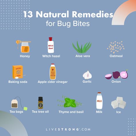 Natural Bug Bite Remedy, Natural Bug Bite Relief, Remedies For Bug Bites, Natural Itch Relief, Bug Bite Itch, Mosquito Bite Relief, Remedies For Mosquito Bites, Bug Bites Remedies, Bug Bite Relief