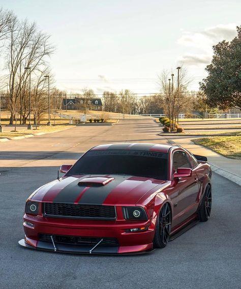 😍👌 Owne Mustang Gt Custom, 2011 Mustang Gt, 2006 Mustang Gt, 2005 Mustang Gt, 2011 Mustang, Mustang Gtr, 2006 Mustang, 2012 Mustang, Mustang Custom