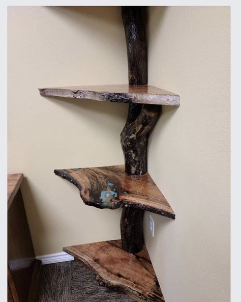 Live Edge Corner Shelves, Cedar Wood Projects, Diy Projects Wood, Building Memories, Driftwood Art Sculpture, Katt Grejer, Wood Log Crafts, Wood Working Ideas, Pins Ideas