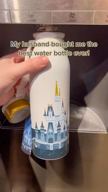 DAILY REELS 💫 on Instagram: "Best water bottle or best husband can’t decide 😂" Signatures Ideas, Character Signatures, Disney Water Bottle, Decorated Bottle, Best Water Bottle, Best Water, Disney Character, Decorated Water Bottles, Best Husband