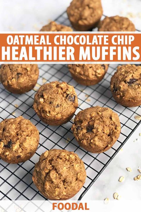 Healthy Chocolate Chip Muffins, Chocolate Chip Muffins Recipe, Oatmeal Muffins Healthy, Oatmeal Chocolate Chip Muffins, Chocolate Chip Muffin Recipe, Healthy Brunch Recipes, Muffins Recipes, Healthy Brunch, Healthy Chocolate Chip