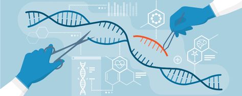 CRISPR Gene Editing Prompts Chaos in DNA of Human Embryos General Biology Background, Gene Editing, Dna Art, General Biology, Embryonic Development, Human Embryo, University Of Birmingham, Unintended Consequences, Human Dna