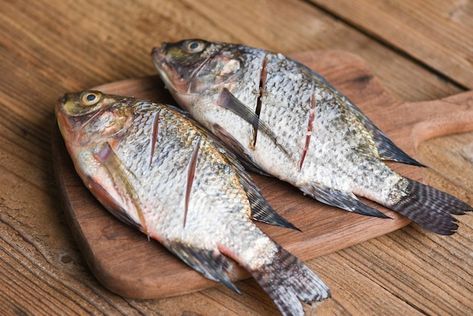 Two raw nile tilapia freshwater fish on ... | Premium Photo #Freepik #photo #tilapia #meat-fish #raw-fish #raw-food Steamed Tilapia, Fresh Tilapia, Grilled Tilapia, Tilapia Fish, Steamed Fish, How To Cook Fish, Lemon Sauce, Grilled Fish, Fresh Fish