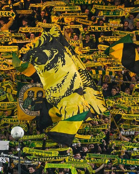 Fc Nantes, January 11, Football, Collage, Lifestyle, Pins, On Instagram, Instagram, Nantes