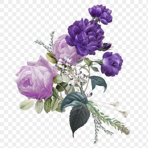 Purple Roses Bouquet, Purple Flowers Bouquet, Flower Bouquet Vintage, Rosa China, Flower Bouquet Drawing, Purple Flower Bouquet, Illustration Rose, Png Flowers, Light Purple Flowers