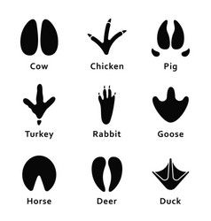 Animals Footprints, Bird Footprint, Cow Hooves, Dog Bear, Cow Vector, Animal Footprints, Hoof Print, Different Animals, Dog Vector