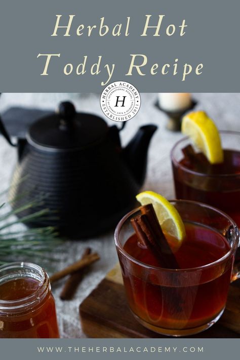 Herbal Hot Toddy Mocktail Recipe | Herbal Academy | Get all of the warming benefits of a hot toddy without the alcohol with this herbal hot toddy mocktail recipe. Herbal Cocktails, Hot Toddy Cocktail, Gimlet Recipe, Toddy Recipe, Honey Drink, Herbal Academy, Hot Toddies Recipe, Herbal Teas Recipes, Herbal Drinks