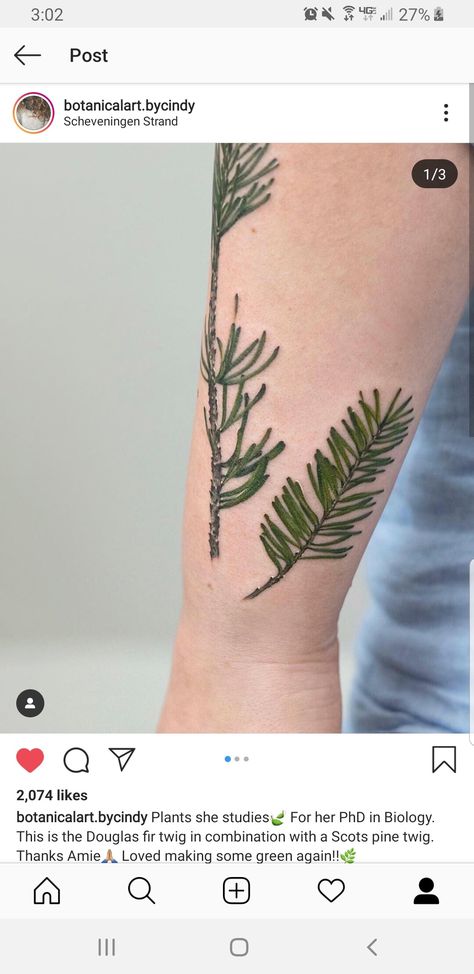 Doug Fir Tattoo, Douglas Fir Tattoo, Douglas Fir, Flower Tattoo, Tattoos