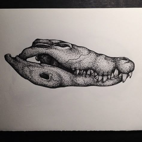 Crocodile Sketch, Crocodile Tattoos, Skull Dotwork, Alligator Skull, Gator Art, Crocodile Skull, Shark Tooth Tattoo, Dotwork Art, Alligator Tattoo