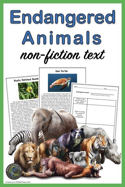 This resource contains five non-fiction texts about endangered animals. It was made for the MS-LS2-4 and 5 Ecosystems: Interactions, Energy, and Dynamics NGSS. It covers the following endangered animal species: African Elephant California Condor Polar Bear Rusty Patched Bumblebee Sea Turtle There are graphic organizers to fill in as the students are reading. There is a link to a video, as well as a couple of other suggestions! Science Lessons Middle School, Collaboration Station, California Condor, Fourth Grade Resources, Science Reading, Fiction Text, Science Lesson Plans, Homeschool Programs, Mad Science