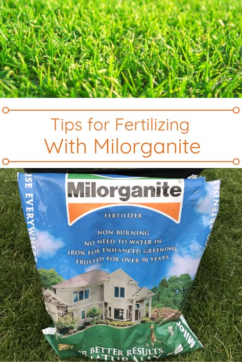 We regularly get questions about the best time to fertilize, if Milorganite can be applied with other fertilizers and can too much be applied. Here are the answers… Milorganite Fertilizer, Garden Shrubs Evergreen, Lawn Maintenance Schedule, Lawn Renovation, Grass Types, Container Herb Garden, Diy Garden Fence, Lawn Care Tips, Lush Lawn