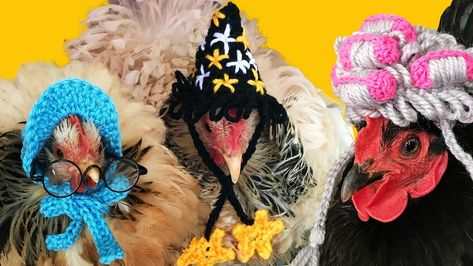 Crochet Chicken Hats Free Patterns, Crochet Hat For Chicken Pattern Free, Crochet Hats For Chickens, Hats For Chickens, Crochet Chicken Hat, Making Chicken, Chicken Hats, Bantam Chickens, Viking Hat