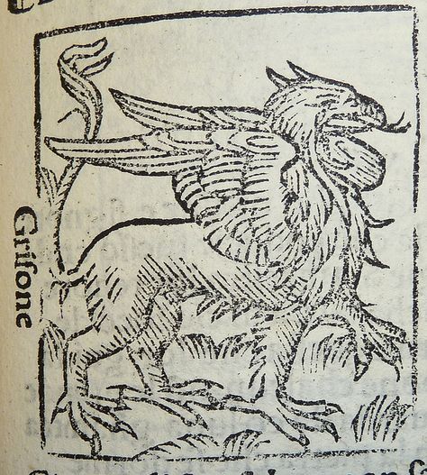 Woodcut of a griffon by Penn Provenance Project, via Flickr Eclipse Tattoo, Fairytale Creatures, Medieval Drawings, Woodcut Art, Alice And Wonderland Quotes, Graphic Design Books, Ancient Animals, 1 Tattoo, Antique Illustration