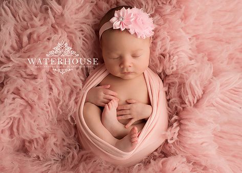 Newborn Studio Photography, Newborn Baby Portraits, Foto Newborn, Newborn Photography Poses, Newborn Studio, Newborn Baby Photoshoot, Newborn Baby Photos, Newborn Poses, Newborn Shoot