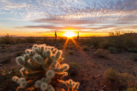 Lost Dutchman State Park: o guia completo Skyline Drive Virginia, Goldfield Ghost Town, Lost Dutchman State Park, Skyline Drive, Downtown Phoenix, Road Trip Destinations, Shenandoah Valley, Shenandoah National Park, Scenic Byway