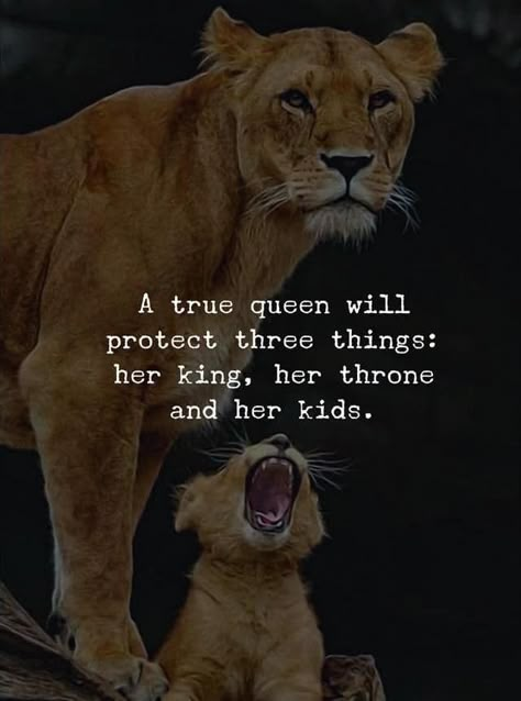 True Life Quotes, Lioness Quotes, Mamma Bear, Black Love Quotes, Leo Quotes, Her King, Lion Quotes, Lion Love, Inspirational And Motivational Quotes