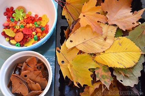 Autumn leaf threading - fall activity for kids. I love anything hands on and I know the kids would love working with nontraditional craft material. Leaf Threading, Gardening Activities, Fall Activity, Autumn Activities For Kids, Fall Preschool, Leaves Autumn, Fall Craft, Fall Crafts For Kids, Autumn Crafts