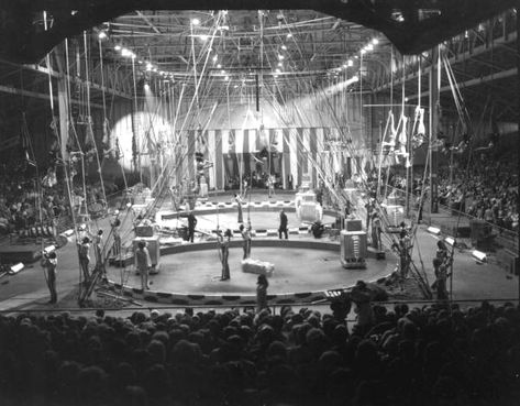 Florida Memory - Three ring circus- Sarasota, Florida Three Ring Circus, Circus Pictures, Circus Background, Clown Show, Mirror Maze, Mary Ellen Mark, Florida Images, Ringling Brothers, Dark Circus