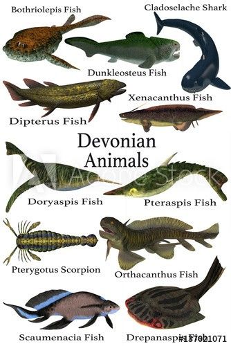 Alien Fish, Sea Dinosaurs, Devonian Period, Animal Infographic, Prehistoric Wildlife, Rocks And Fossils, Dinosaur Pictures, Prehistoric World, Deep Sea Creatures