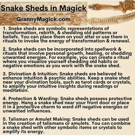 Snake Skin Spells, Snake Skin Witchcraft, Animal Omens, Spirit Stone, Energy Circles, Hoodoo Magic, Hoodoo Spells, Snake Shedding, Animal Craft