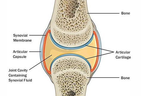 Why Are My Joints So Stiff? What Can I Do? #RheumatoidArthritis #OsteoArthritis (OA) #Arthritis #AnkylosingSpondylitis #Fibromyalgia #JointInjury Signs Of Inflammation, Joints Pain Remedy, Synovial Fluid, Skin Disorders, What Can I Do, Home Remedies, How Are You Feeling, Health