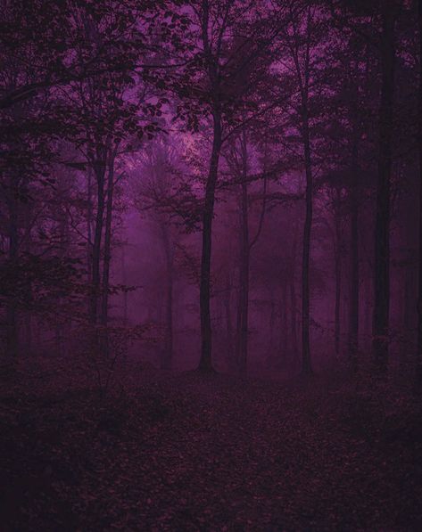 dark purple colored forest Mystical Purple Aesthetic, Trippy Forest Aesthetic, Gloomy Purple Aesthetic, Dark Purple City Aesthetic, Dark Purple Forest Aesthetic, Inner World, Forest Art, Marker Art, City Aesthetic