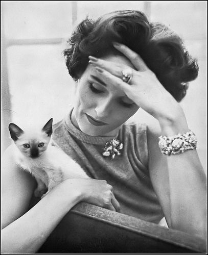 Babe Paley, Sonny Corleone, Richard Avedon Photography, Ladies Who Lunch, Diana Vreeland, Retro Photography, Richard Avedon, Cat People, Harper's Bazaar