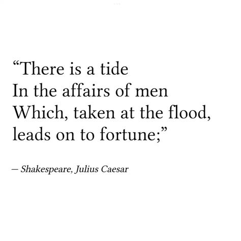 Julius Caesar Aesthetic, Julius Caesar Shakespeare, Social Project, English Project, English Projects, Year 8, Shakespeare Quotes, Julius Caesar, Mountain River