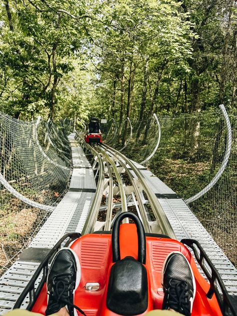 Copperhead Mountain Coaster 4h Fair, Mountain Coaster, Branson Vacation, Alpine Coaster, Family Vacay, Branson Missouri, Georgia Mountains, World Of Wonder, Road Trip With Kids