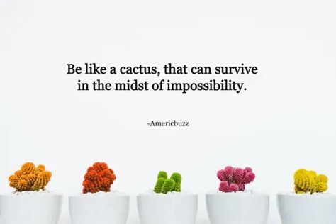 Cactus Quotes Inspirational, Cactus Quotes, Cute Cactus, Snap Quotes, Wallpaper Phone, Purple Wallpaper, Phone Wallpaper, Cactus, Card Holder