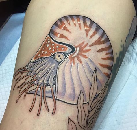 Nautilus tattoo Nautalis Shell, Nautilus Tattoo, Shell Tattoo, Shell Tattoos, Water Tattoo, 1 Tattoo, Cross Tattoo, Pretty Tattoos, Nautilus