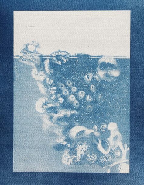 Cyanotype Art, Poster Typography, Book Projects, Ethereal Art, Photo Design, Artist Books, Typography Poster, Book Cover Design, Art Reference Photos