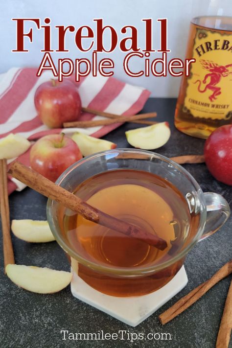 Easy hot Fireball Apple Cider recipe is perfect for fall nights when the weather starts to cool down. The combination of Fireball and Apple Cider is absolutely delicious. Apple Cider And Fireball Drink, Fireball Apple Cider, Fireball Drinks Recipes, Spiked Cider Recipes, Hot Apple Cider Cocktail, Apple Cider Punch Recipes, Cider Drink Recipes, Fireball Cocktails, Cold Apple Cider